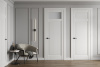 ProfilDoors 3.3.2PM со стеклом